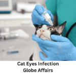 Cat Eyes Infection